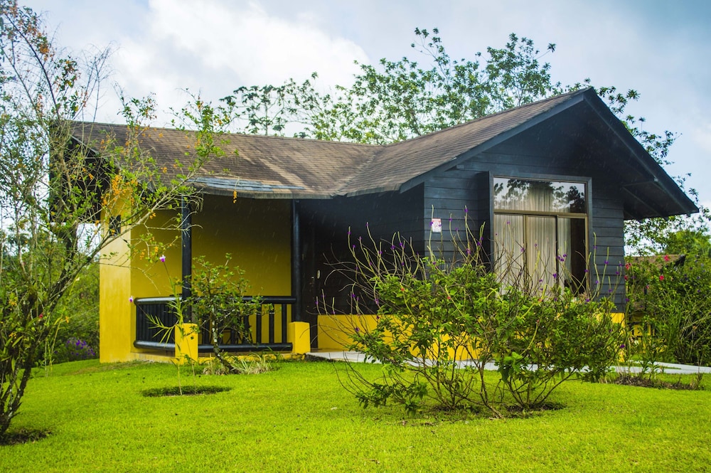 Campo Verde 5/46