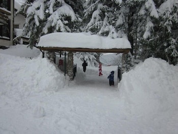 HOTEL ORSO BIANCO 7/73