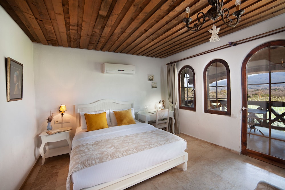 Vinifera Vineyards Hotel 12/50