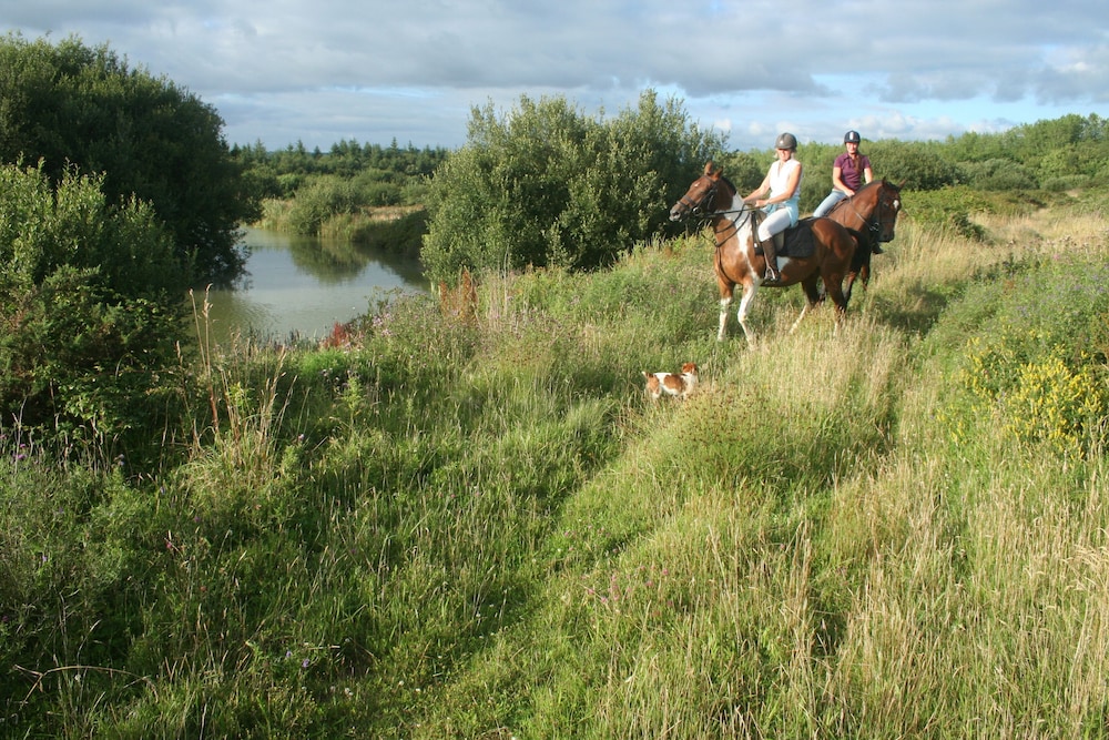 Hollamoor Farm B&B 34/50