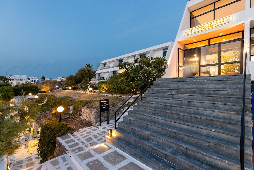Hotel Hippocampus 45/65