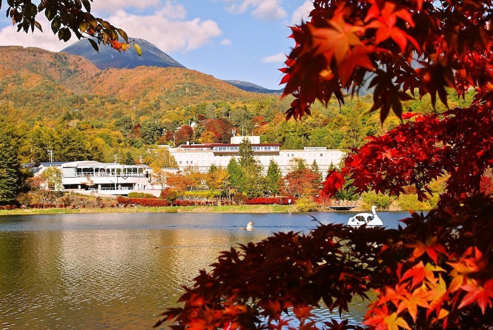RESORT HOTEL TATESHINA 43/52