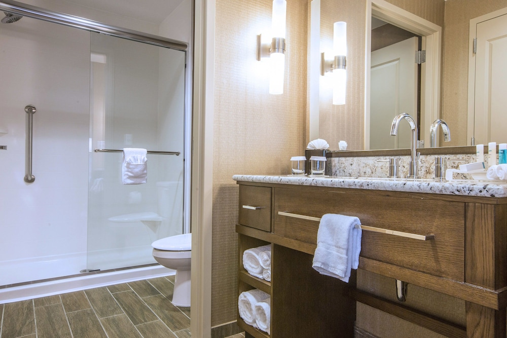 Hampton Inn Houston Downtown 14/45