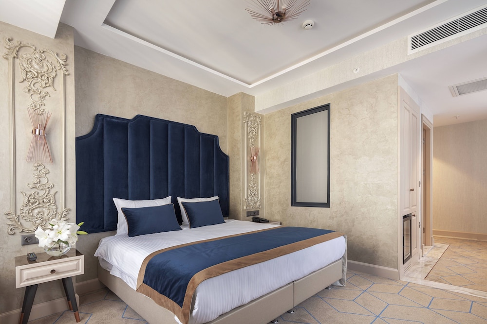 Danis Hotel Istanbul 31/60