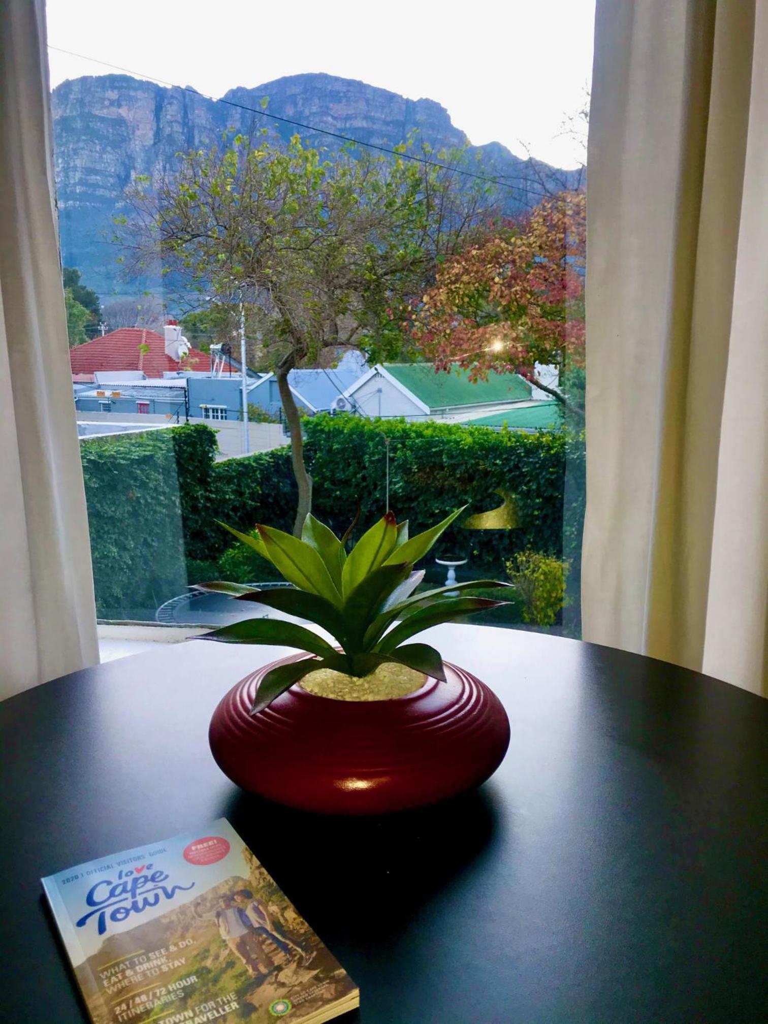 Authentic Newlands 31/37