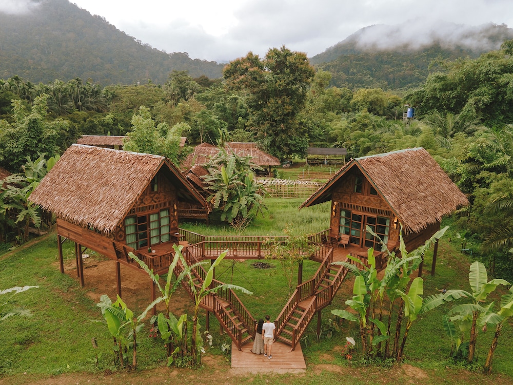 Our Jungle Camp - Eco Resort 13/75