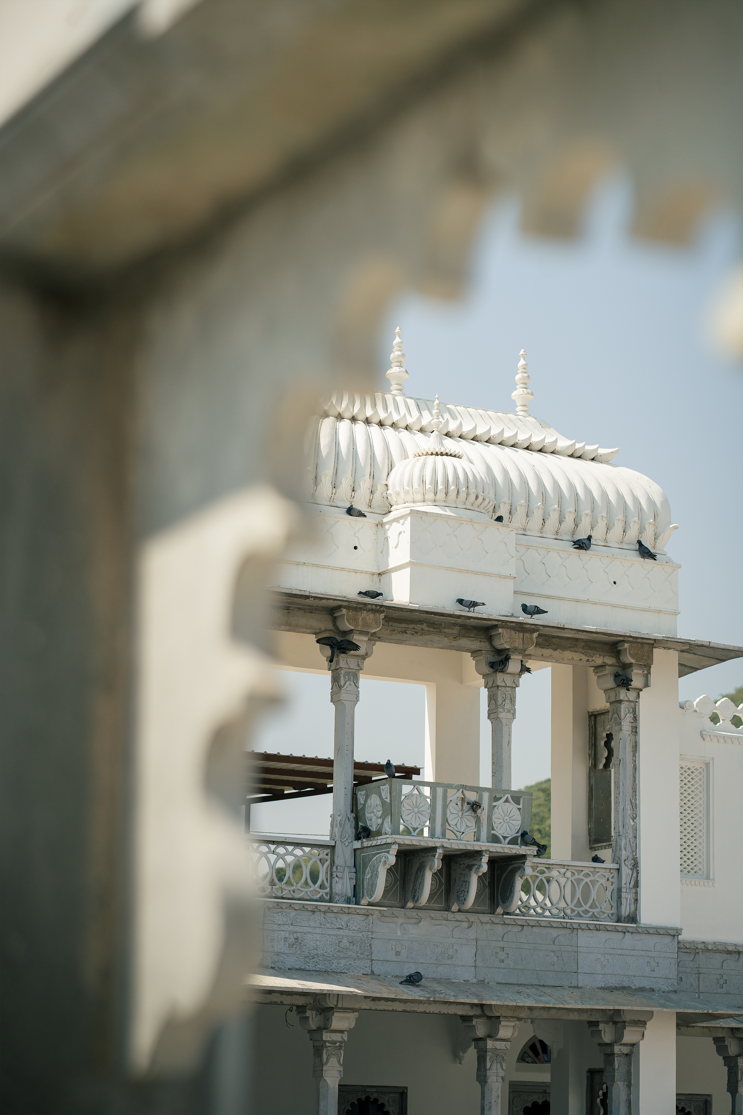 Daulatgarh Resort And Spa 1/7