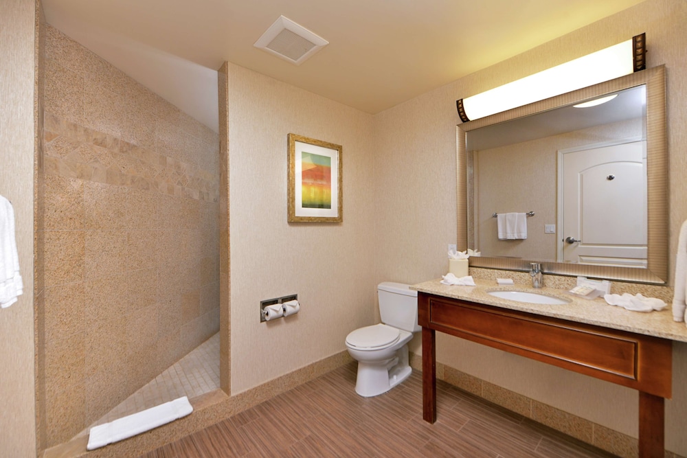 Hilton Garden Inn Boise Spectrum 30/59