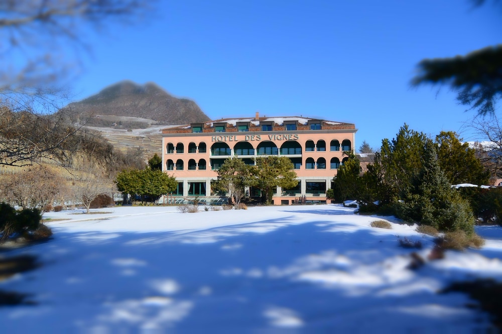 Hotel Des Vignes 3/66