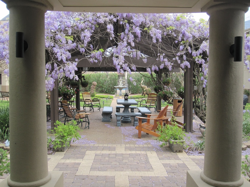 Vineyard Court Designer Suites Hotel 54/56
