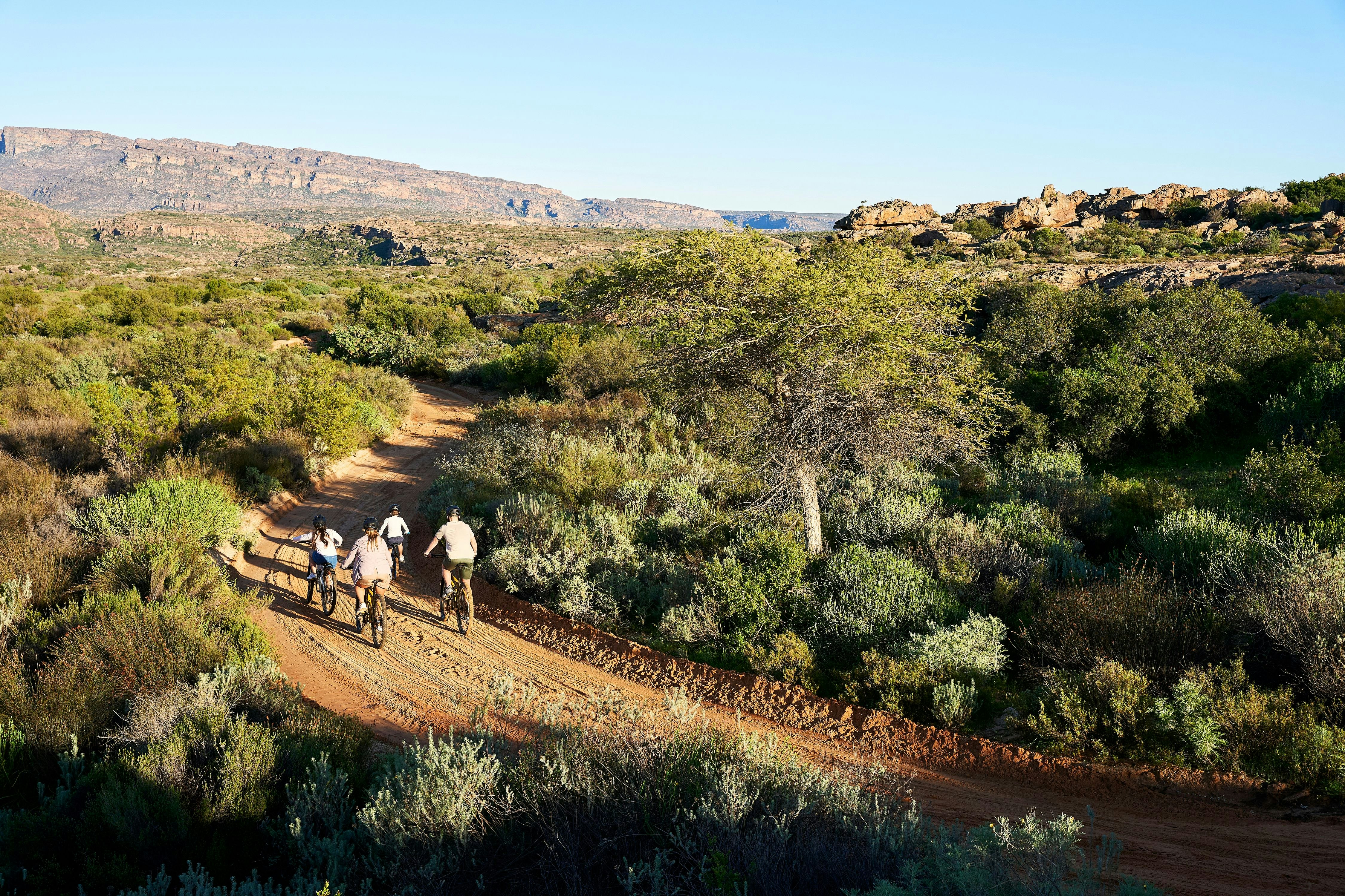 Bushmans Kloof Wilderness Reserve and Wellness Retreat 28/50