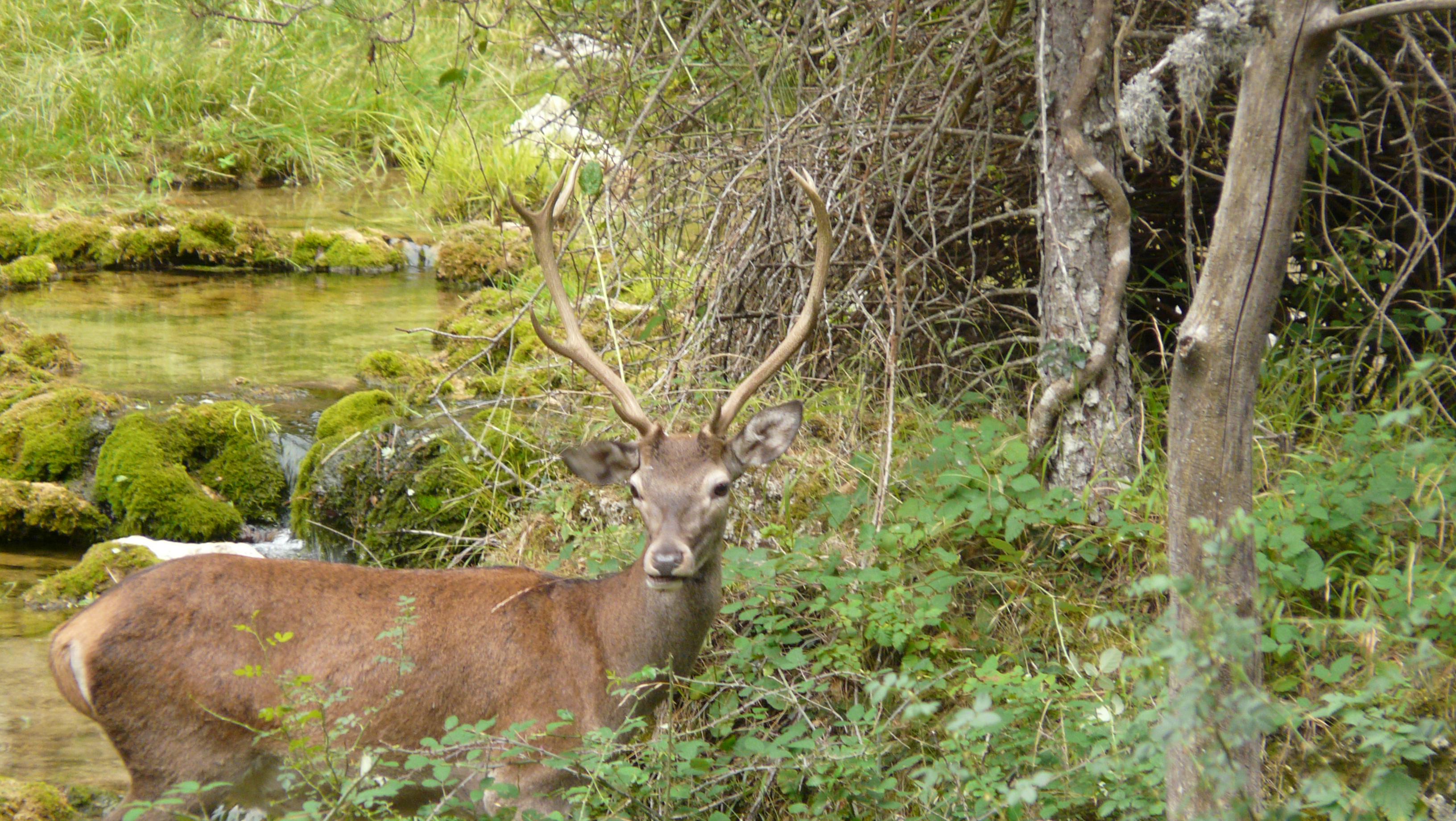 Campillo Apartamentos Rurales 23/31