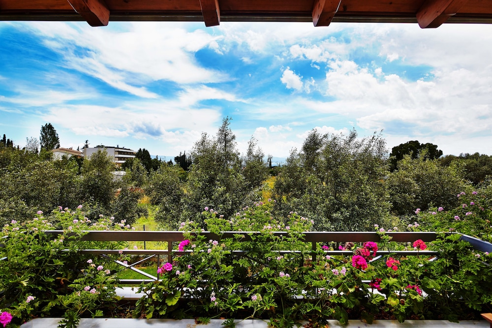 Miramare 27/41
