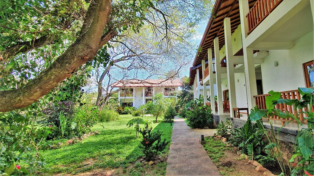 Blue Turtle Hotel 47/51