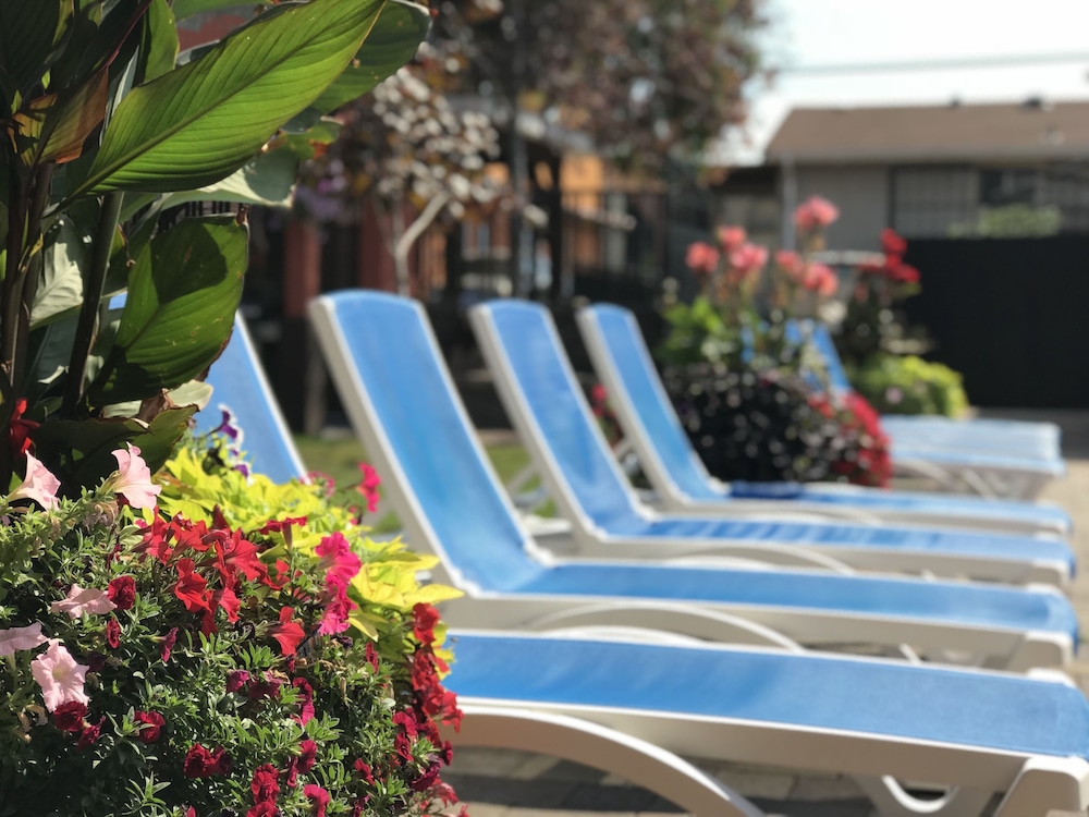 Sahara Courtyard Inn 58/70