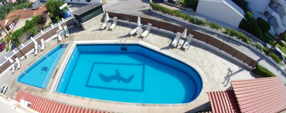 Sea Bird in MESSONGHI