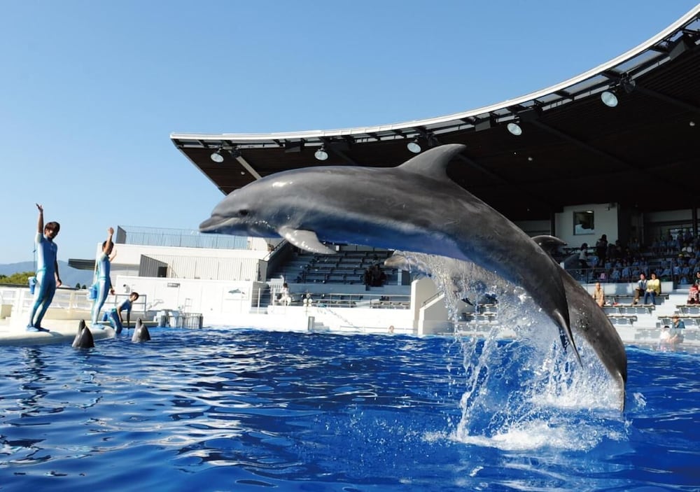 ABホテル京都四条堀川 写真1