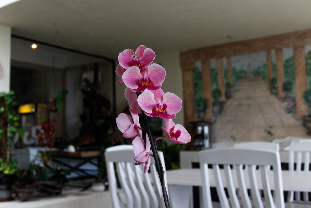 La Dolce Vita Guest House 32/50