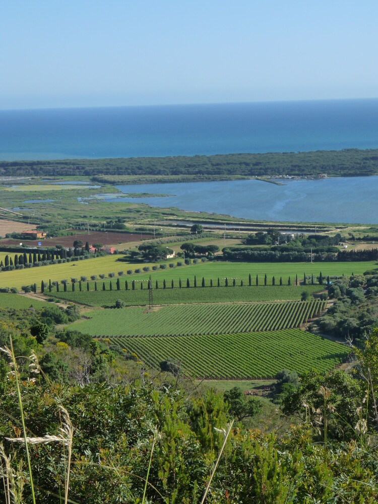 Agriturismo Fattoria Il Casalone 22/40