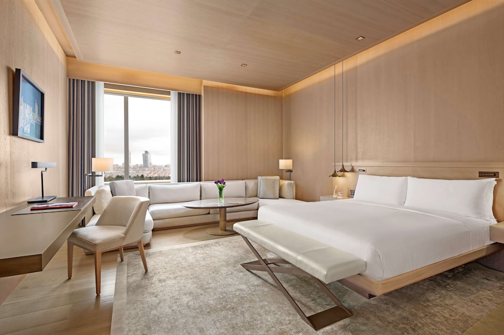 Hyatt Centric Levent Istanbul 16/52