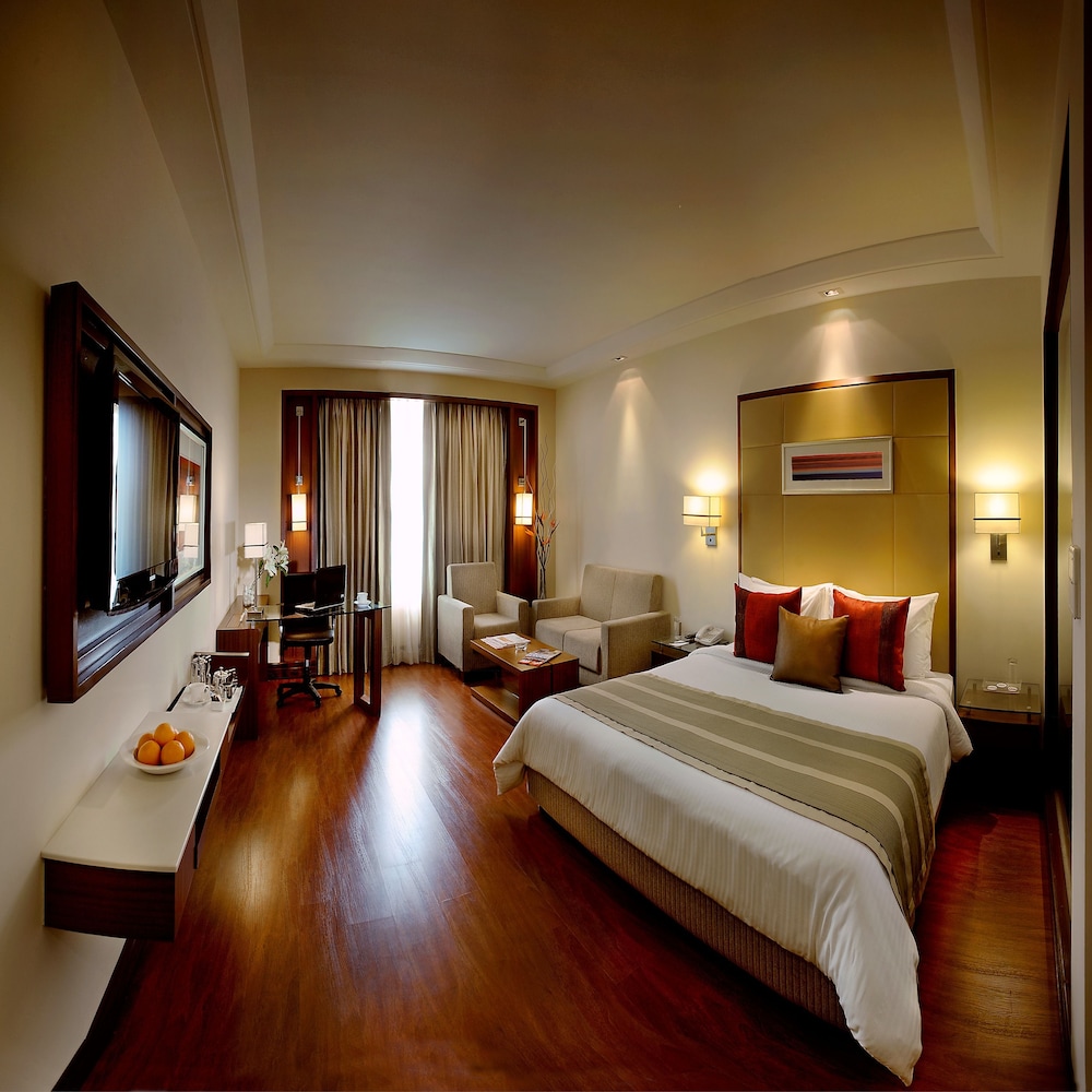 Park Inn Gurgaon 13/60