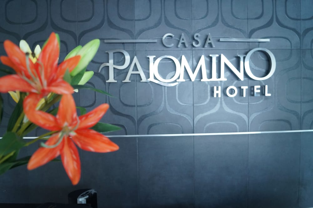 Hotel Casa Palomino 9/50