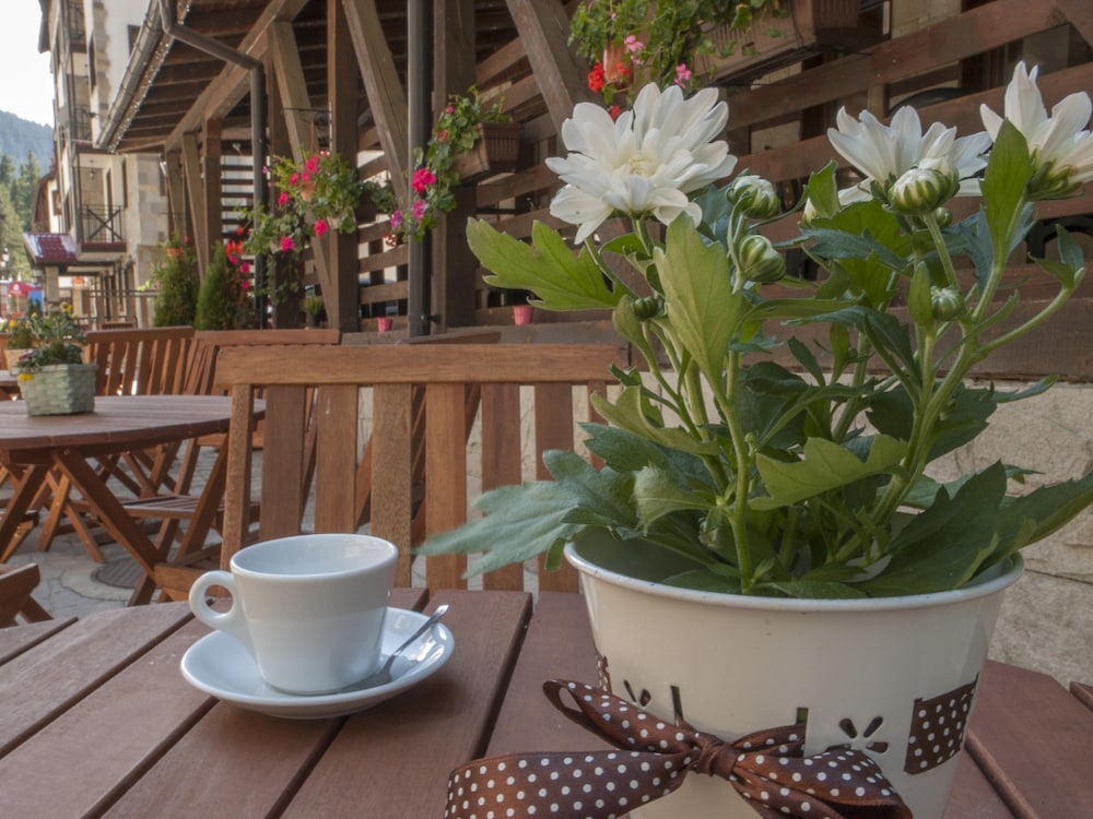 Green Life Family Apartments Pamporovo 49/62