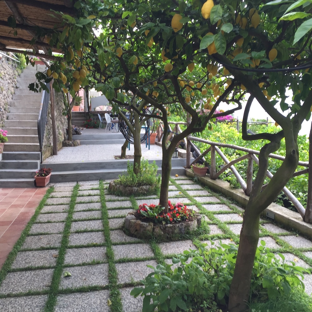 B&B I Limoni 28/50