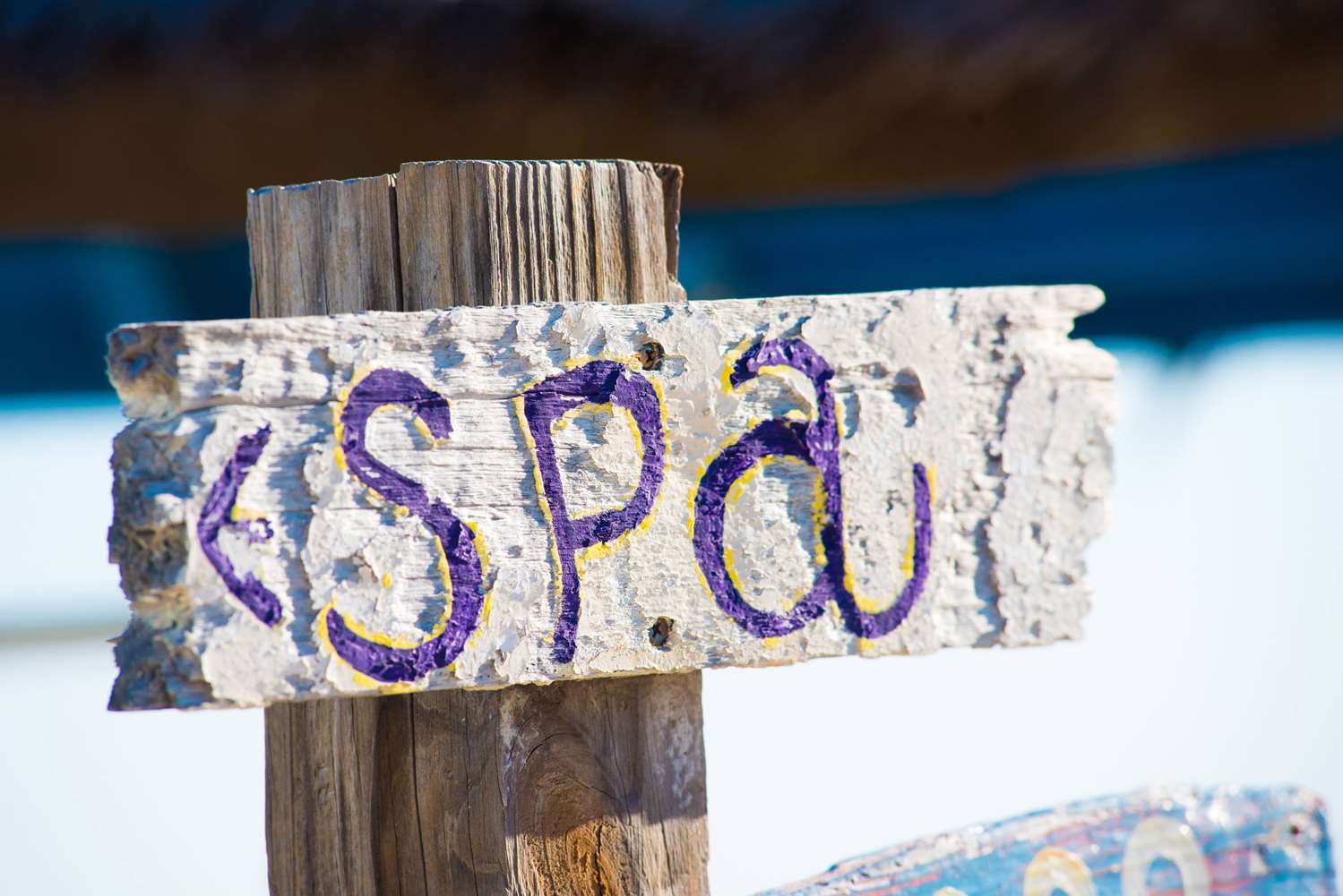 The Reef Beach Resort 25/65