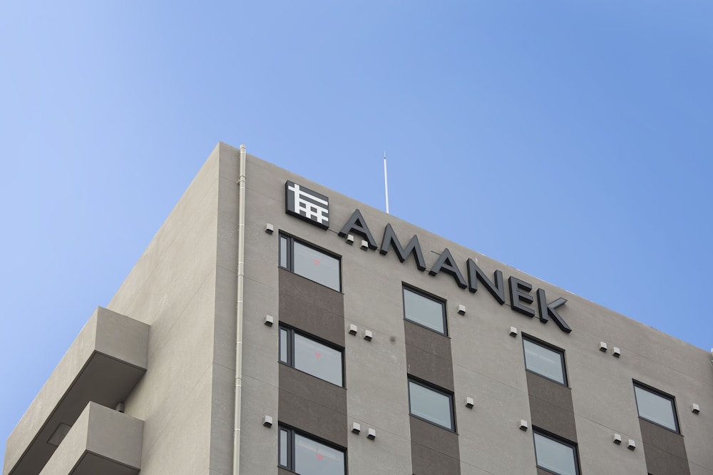 Hotel Amanek Kamata Ekimae 3/49