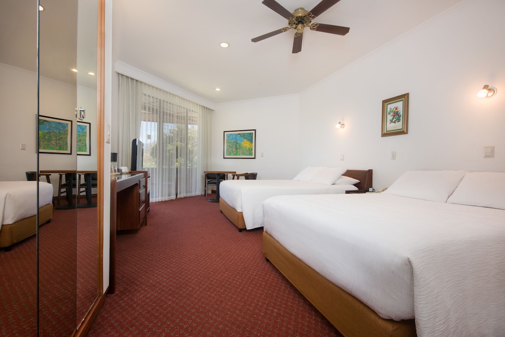Hotel Bougainvillea San Jose 24/66