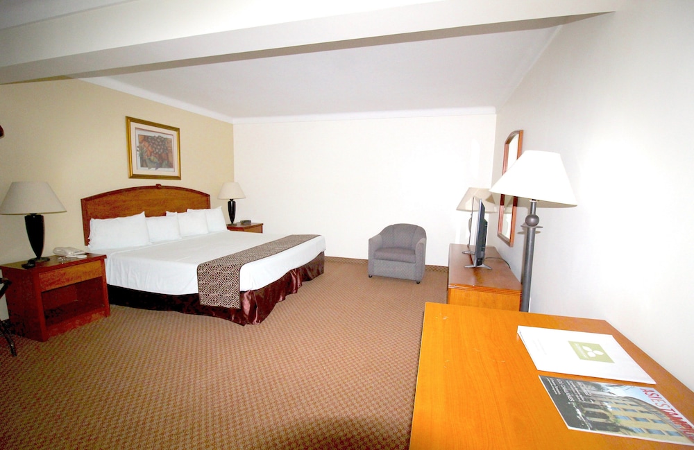 Hafersons Inn Hotel And Suites Ex Best Western Hotel Expo Metro Tampico 21/58