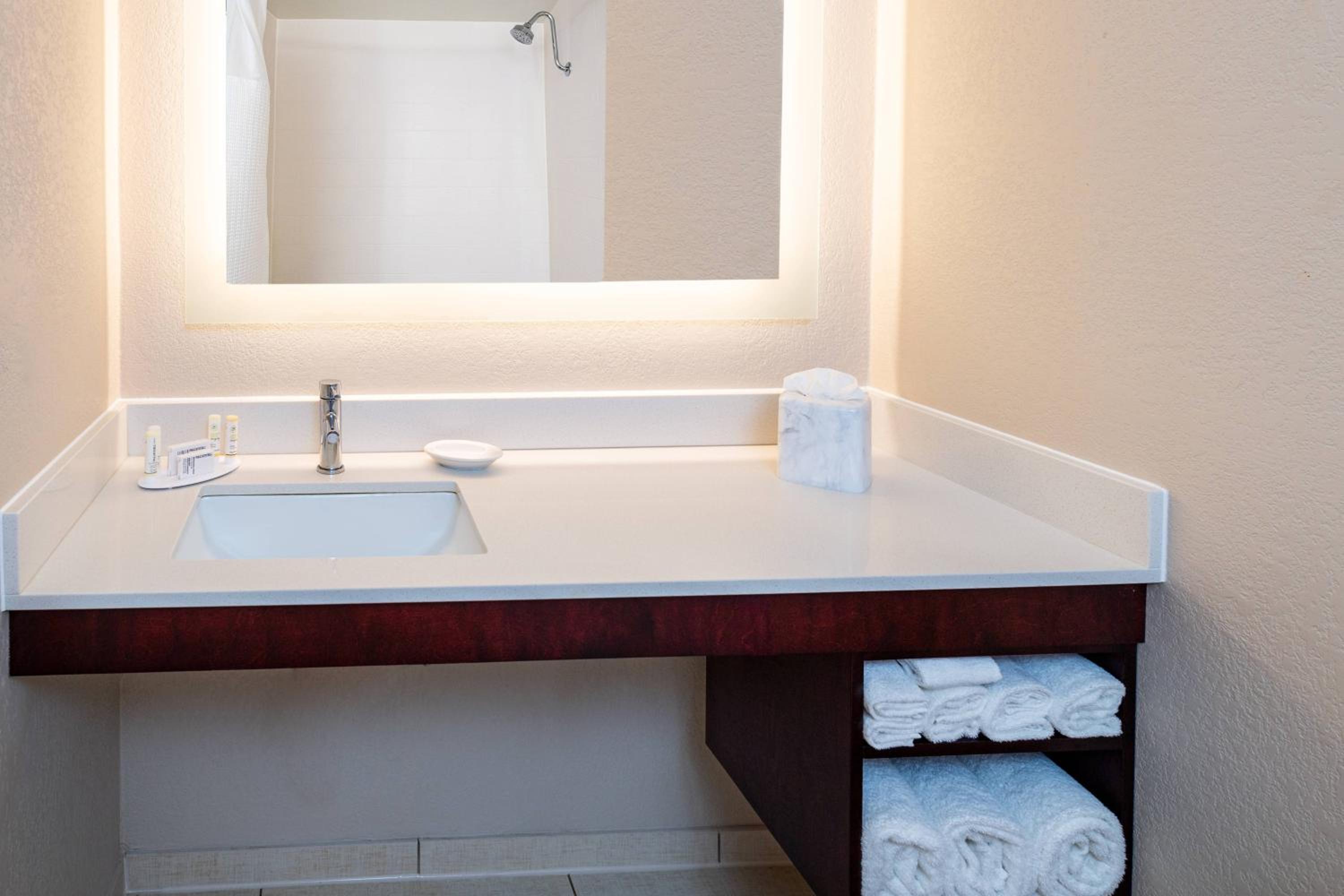 جناح بسرير كوين مع أريكة بحوض استحمام لذوي الإعاقة، Springhill Suites Houston Medical Center Nrg Park 4/8