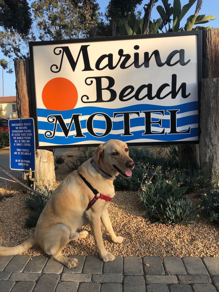 Marina Beach Motel 32/67