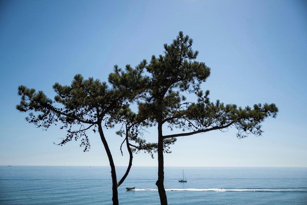 W Residences Algarve 45/50