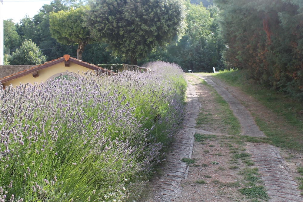 Croce Di Savoia Hotel 30/35