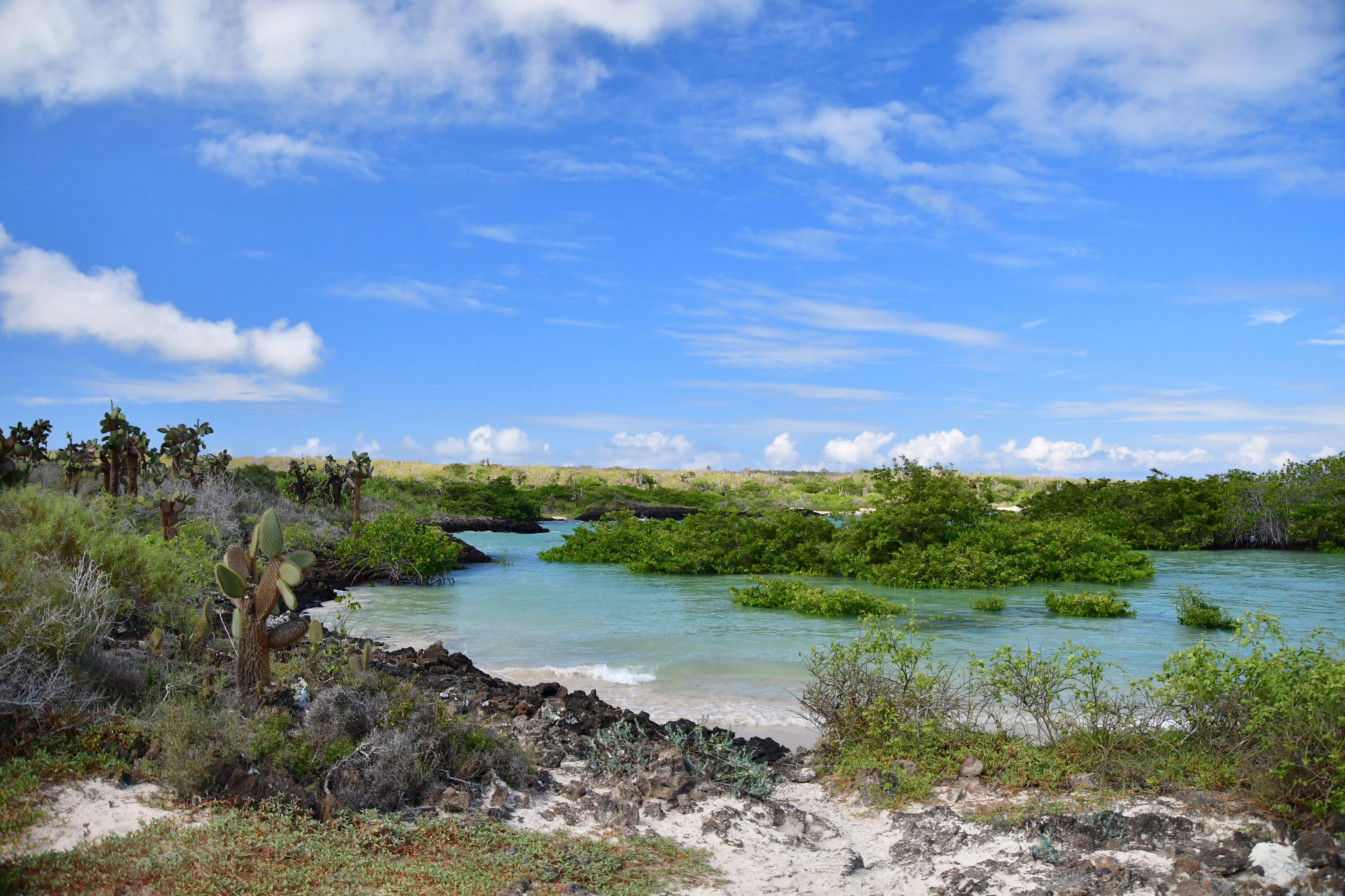 Royal Palm Galapagos, Curio Collection Hotel by Hilton 13/24