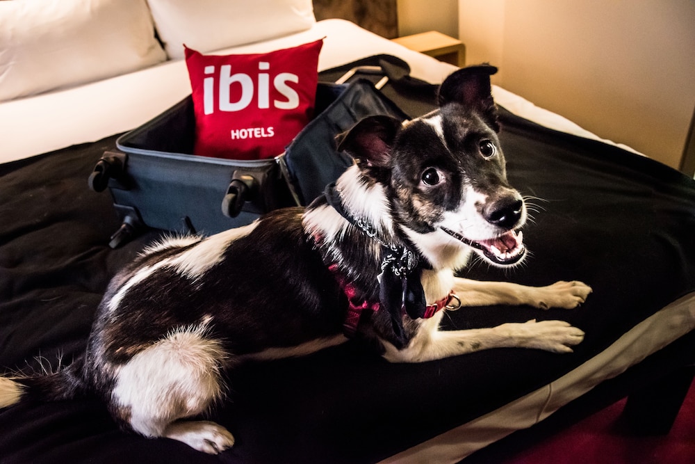 Ibis Vilnius Centre 41/72