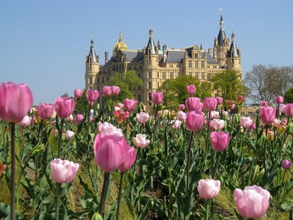 Boulevard Hotel Altstadt Schwerin 45/50