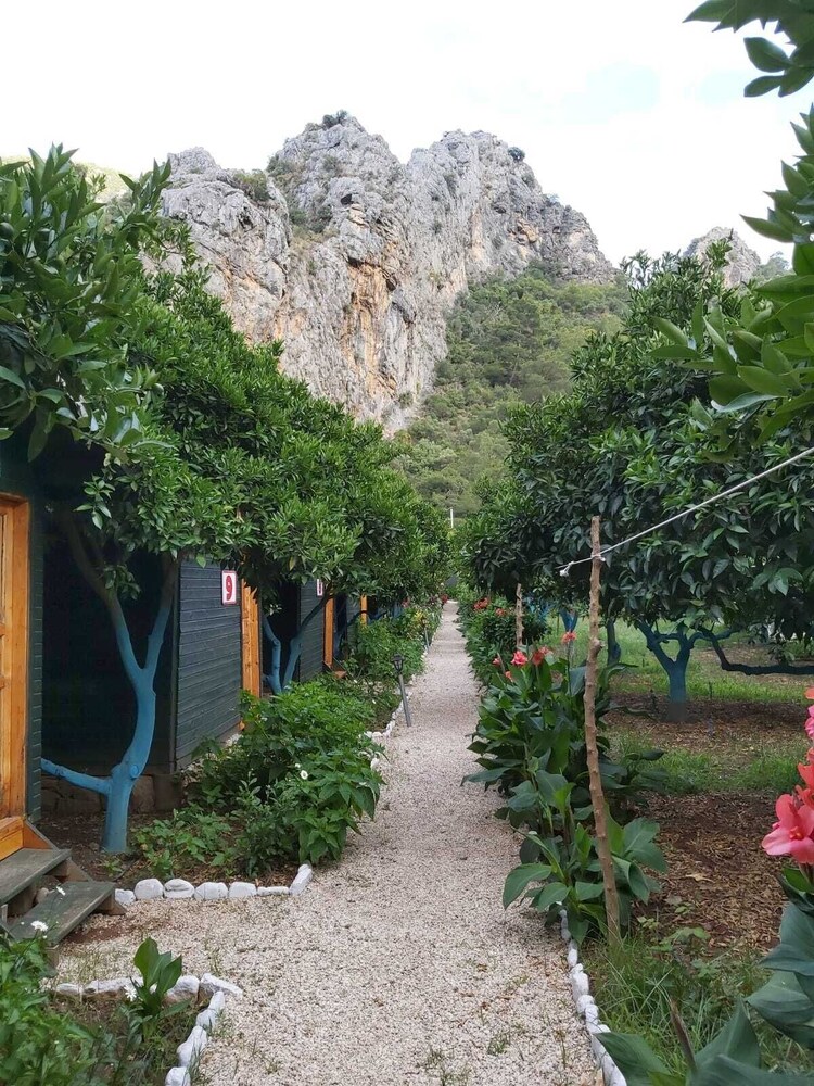 Olympos Tatilya Pansiyon 37/41