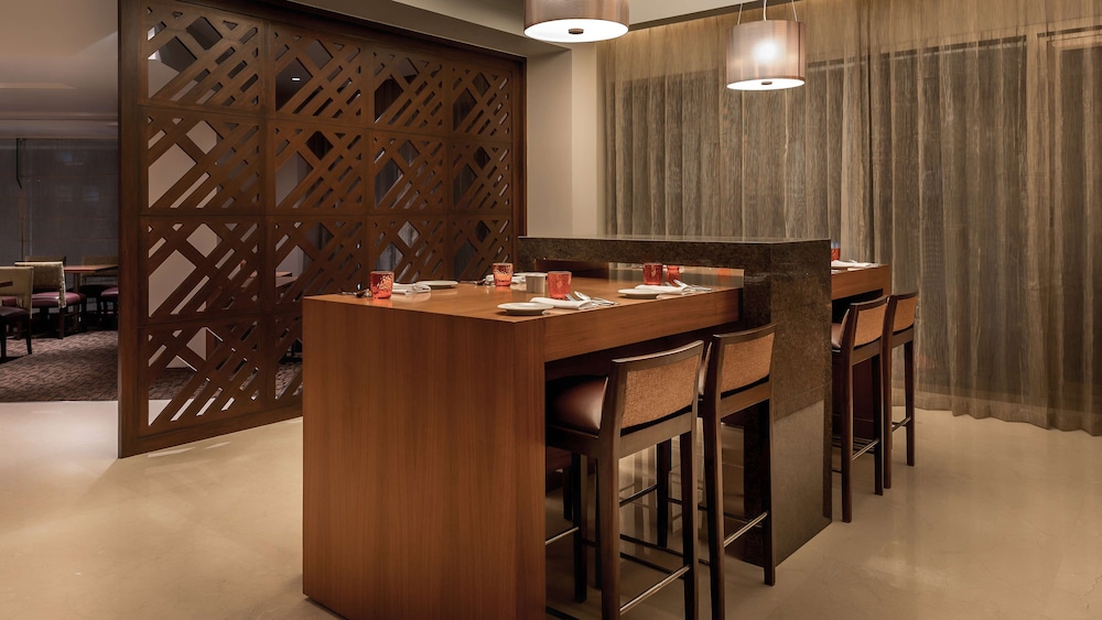 HYATT PLACE PUNE/HINJAWADI 31/50