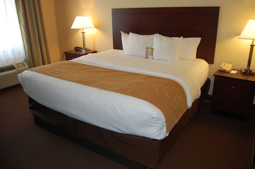 Comfort Suites Manhattan 13/43