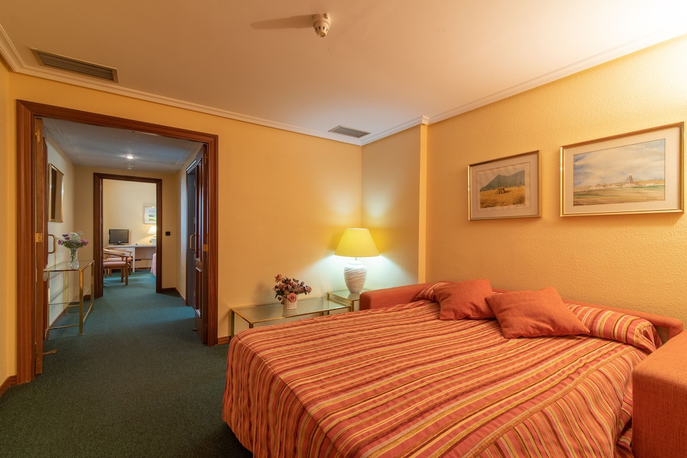 Hospedium Hotel Europa Centro 8/47