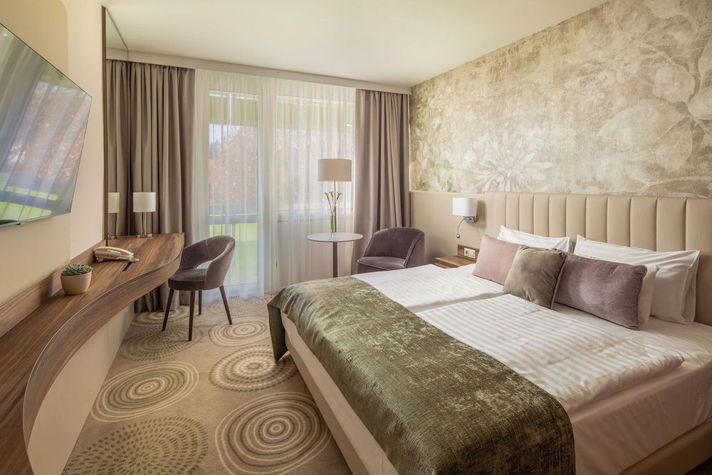 Hotel Carbona Thermal Spa 19/72