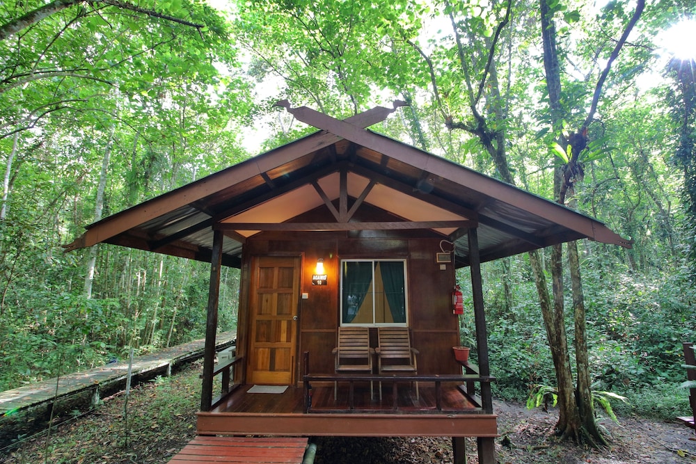 Nature Lodge Kinabatangan Sandakan 2/21