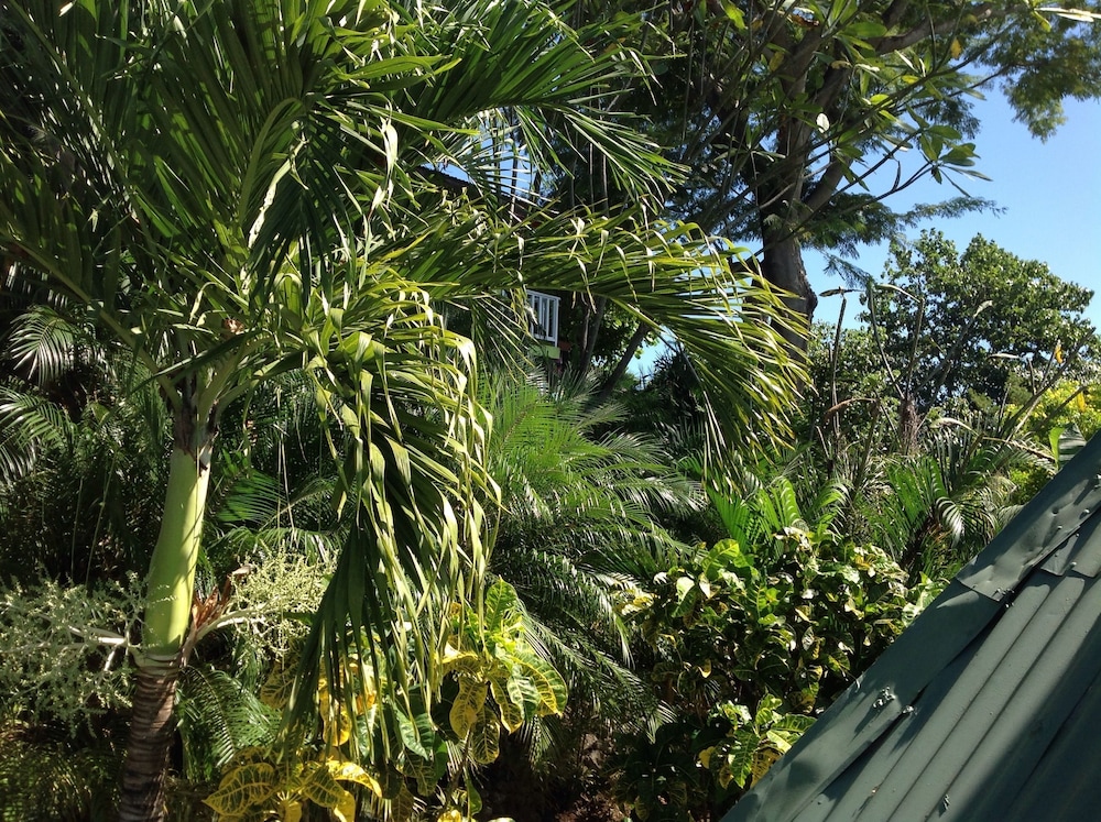 Hotel Tamarindo Village 71/74
