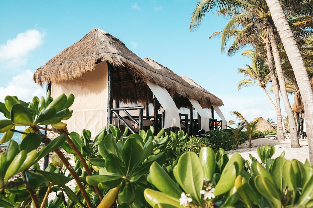 El Dorado Casitas Royale All Inclusive in PLAYA DEL CARMEN