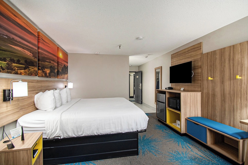 Room, King Bed
