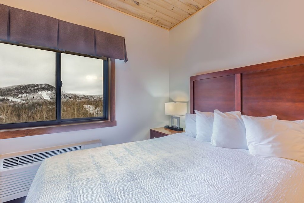 1 Bedroom, Condo, Elite, 1 Queen and 1 Murphy Bed, Queen Murphy Bed, Mountain View, Sofa