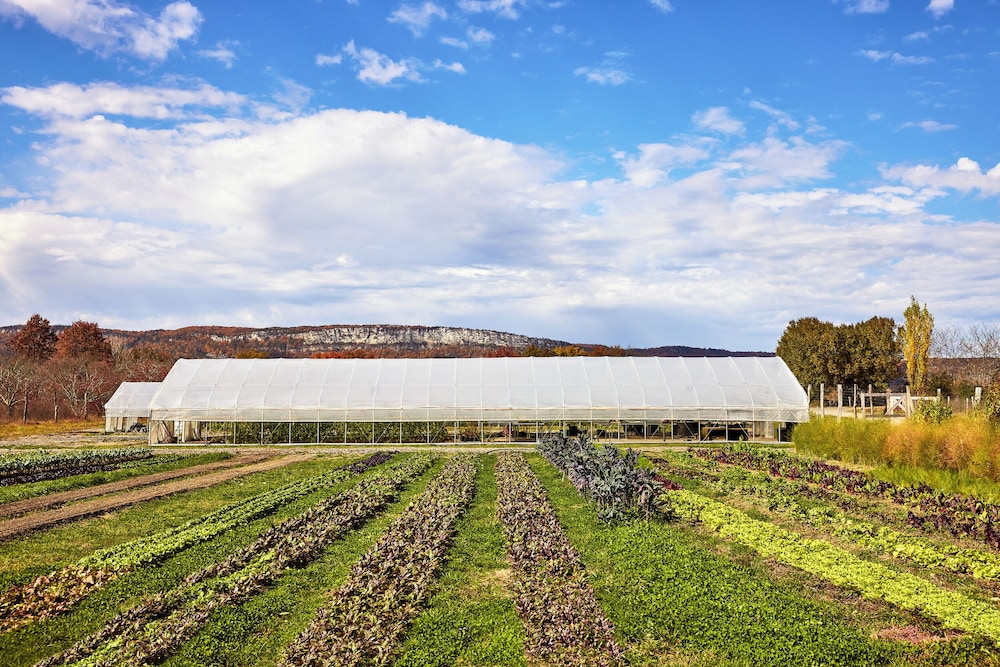 Wildflower Farms, Auberge Resorts Collection 42/50
